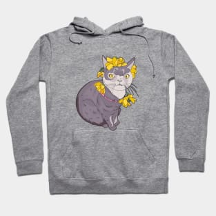 Willow The Beautiful Cat Cartoon Hoodie